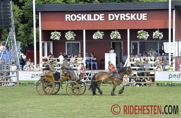N&aelig;sten 300 heste klar til Roskilde Dyrskue
