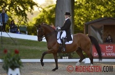 Sabrina Hesselhede til Vestegnen