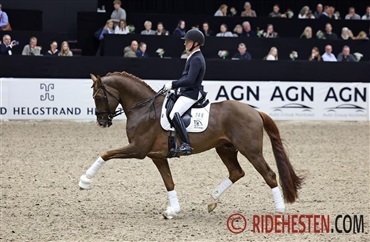 Oplev Ridehestens pr&aelig;sentationsklaser