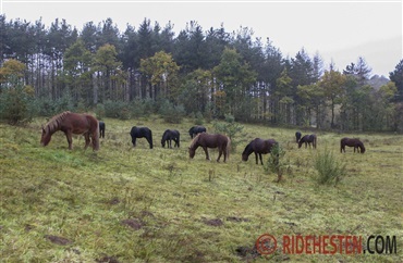 Undg&aring; overv&aelig;gt og forfangenhed