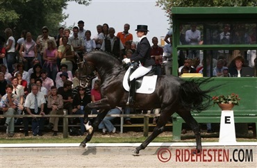 Stedinger blev 25 &aring;r gammel