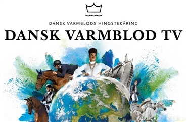 Dansk Varmblod TV fra torsdag