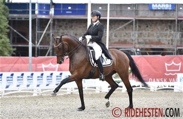 Susanne Barnow klar med 5 heste til championatsfinale