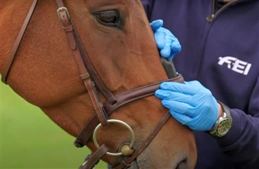 FEI lancerer ny n&aelig;seb&aring;ndsm&aring;ler