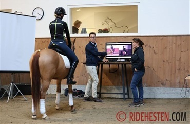 To arrangementer om hest, sadel og rytter