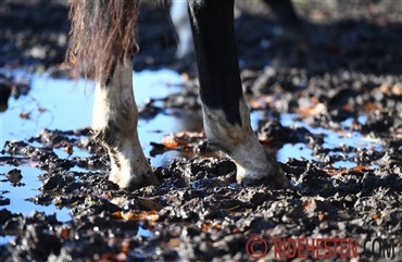 Vinterklar i stalden: 8 r&aring;d til dig og din hest