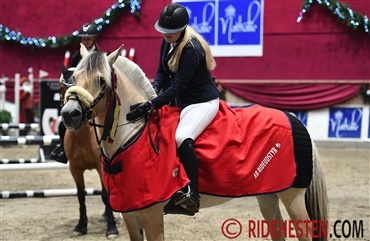 Fjordhest sejrede ved Christmas Show Warm Up pony