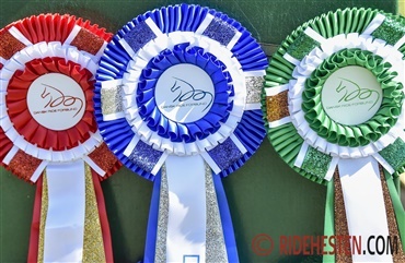 Indend&oslash;rs DM n&aelig;rmer sig