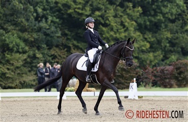 De skal ride Dressurens Venner Cup-finale
