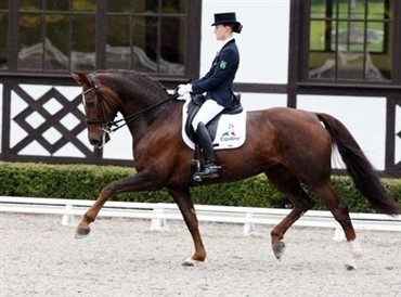 Tysk juniormester p&aring; danskf&oslash;dt hest