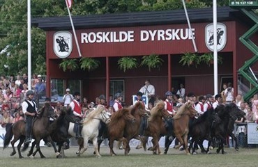 Roskilde Dyrskue &aring;bner for tilmeldingen d. 1. marts 