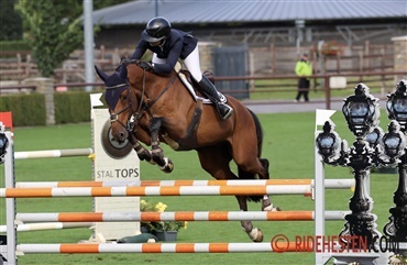 Dansk Varmblods 5-&aring;rs team i topform