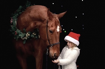 Har du juletraditioner med din hest?