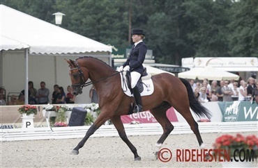 Den finske Grand Prix-hest Royale de Topaz er d&oslash;d