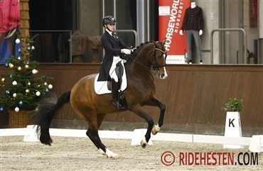 Gode danske pr&aelig;stationer i Lier