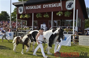 Skal du deltage p&aring; Roskilde Dyrskue?