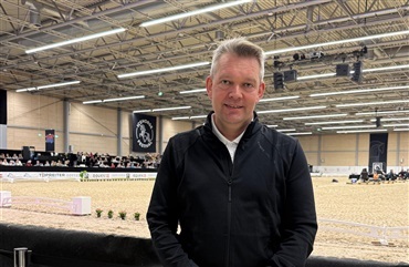 Derfor hitter den islandske hest