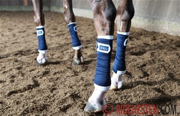 Hvad har din hest p&aring; benene?