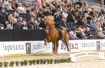 Icehorse Festival er i fuld gang