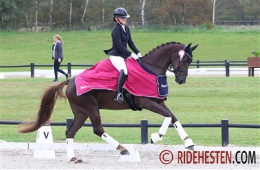  Ertebjerggaards Sports Rideklub topper