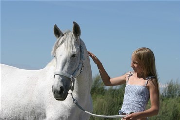 Svensk afhandling om hestepiger