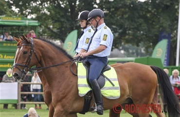 Politihestene kan opleves i Jylland