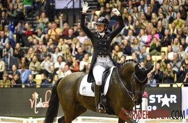 Bruttogrupperne i dressur er opdateret