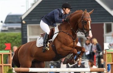 Dansk hest er Whitakers OL-h&aring;b