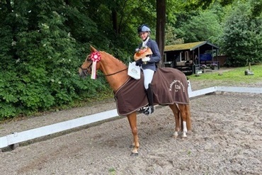 Tre KBH-mestre for pony fundet