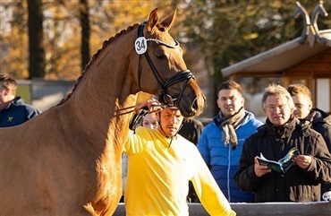 &Aring;rets f&oslash;l i DV dyrest i Verden