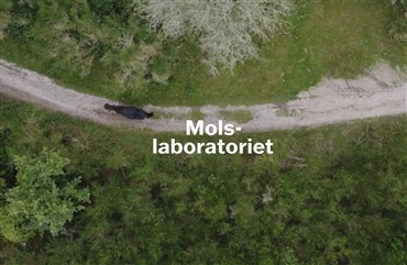 Hempel Fonden overtager Molslaboratoriet i dag