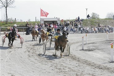 Dansk hestesport s&aelig;tter rekord