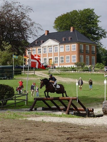 Haregabg&aring;rd er bedst til st&aelig;vner