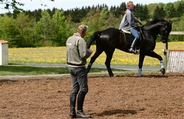 Med sigte p&aring; dressurens top