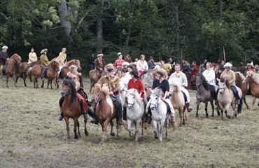 Vikinger og heste ved Moesg&aring;rd