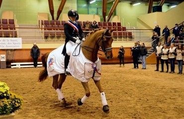 Dansk hest fransk mester