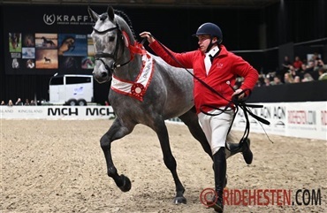 F&oslash;rste guldmedalje i 22 &aring;r