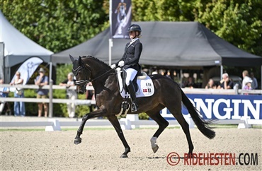 Straight Horse Floriana under indisk rytter