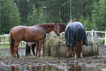 Vanr&oslash;gtssag tr&aelig;kker ud