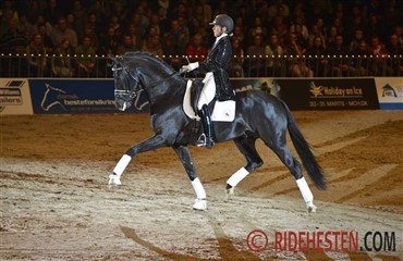 S&aring; kom de: Hollandske heste til UVM