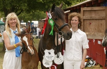 Stor New Forest festival i Roskilde