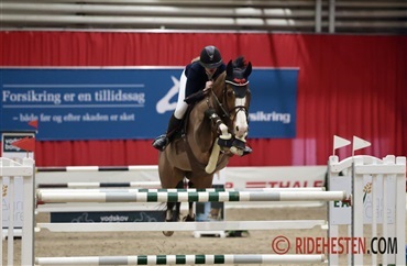 Syvh&oslash;jeg&aring;rds Footloose solgt – bliver p&aring; dansk jord
