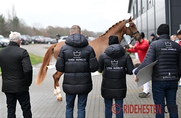 To forbesigtigelser p&aring; Sj&aelig;lland