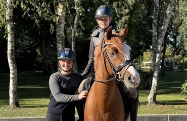 Zindorffs EM-pony Del Classico er solgt