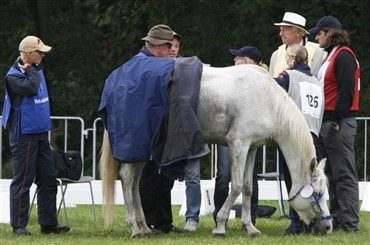 Europamester mister titel i dopingsag