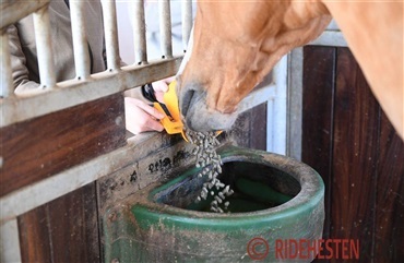 Undg&aring; at hesten f&aring;r spiser&oslash;rsforstoppelse