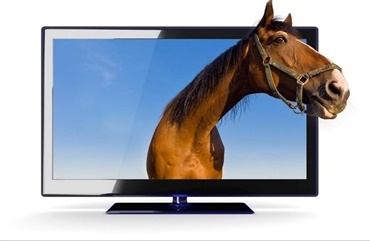 S&aring;dan vises Falsterbo Horse Show p&aring; TV 