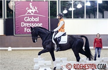 Harmoni p&aring; Global Dressage Forum 2012