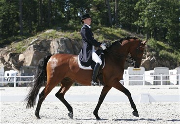 Ung svensk GP-vinder p&aring; dansk hest