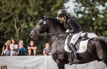 Dansk frieserhingst opn&aring;r Sport-Elite pr&aelig;dikat